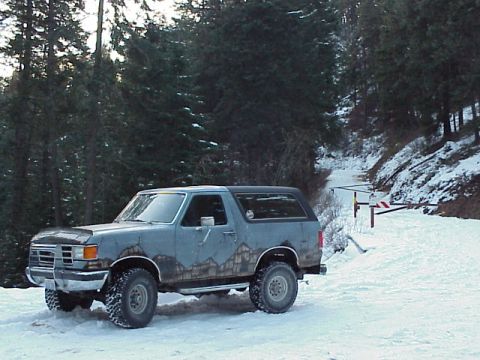 1989 Ford Bronco - A gray 1989 Ford Bronco is parked in a snowy area with trees and a closed gate in the background.