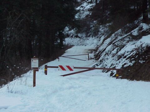 1989 Ford Bronco - A snowy mountain road is blocked by two gates, with dense trees on the left and a rocky slope on the right.