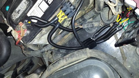 1996 Ford Bronco - Close-up view of the engine bay wiring and battery terminals, showing electrical connections and conduits.