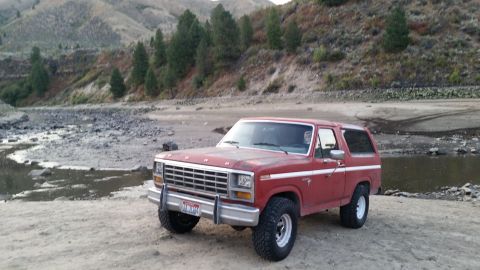 1981 Ford Bronco “Spartan”