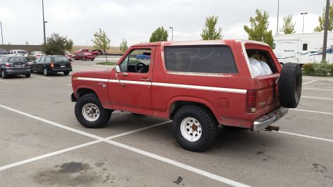 1981 Ford Bronco