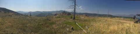 1994 Ford Bronco - A panoramic view of a dry, grassy hillside with scattered dead trees and rocky outcrops. A teal Ford Bronco is parked on a dirt road on the…