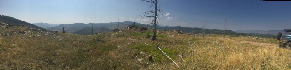 Teal Ford Bronco parked on a dirt road on a dry, grassy hillside with dead trees.