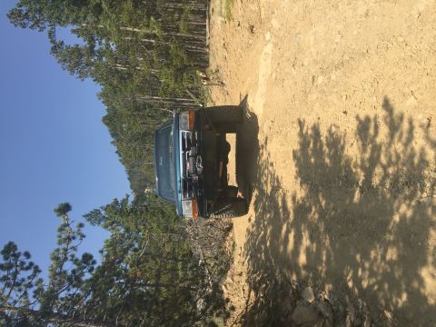 1994 Ford Bronco - A blue SUV is parked on a dirt road, surrounded by trees and dappled sunlight.