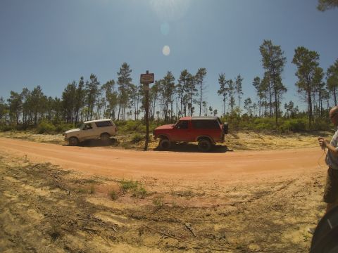 1995 Ford Bronco - Two Ford Broncos are parked on a dirt road in a wooded area. The Bronco on the left is white and the Bronco on the right is red.
