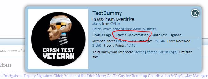 Forum user profile for TestDummy with avatar and profile details.