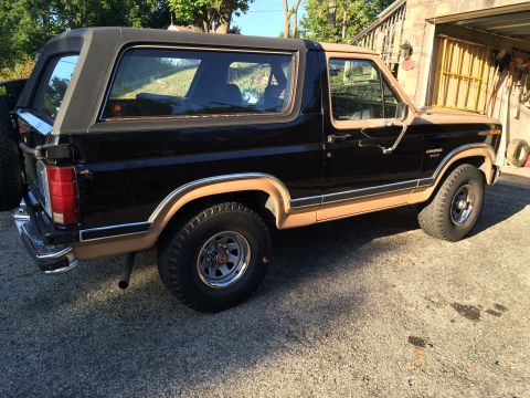 1983 Ford Bronco photo