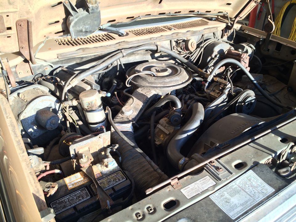 Engine bay of a 1983 Ford Bronco with V8 engine, battery, and hoses.