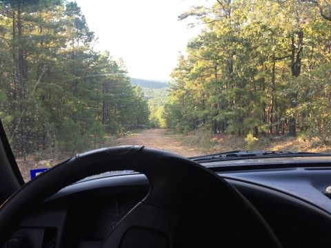 1993 Ford Bronco - View from the driver's seat of a 1993 Ford Bronco, looking out at a dirt road winding through a pine forest.