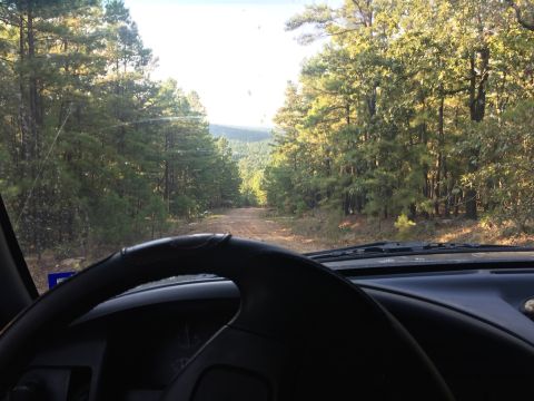1993 Ford Bronco - View from the driver's seat of a 1993 Ford Bronco looking down a dirt road surrounded by pine trees. The steering wheel and dashboard are v…