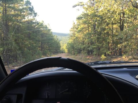 1993 Ford Bronco - View from the driver's seat of a 1993 Ford Bronco looking out at a dirt road through a forest. The dashboard and steering wheel are visible…