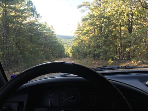 1993 Ford Bronco - View from the driver's seat of a 1993 Ford Bronco, looking out over a dirt road through a forest.