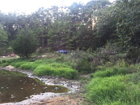 1993 Ford Bronco - A dark colored SUV is parked on a grassy incline next to a wooded area and a body of water. The vehicle is partially obscured by trees and…