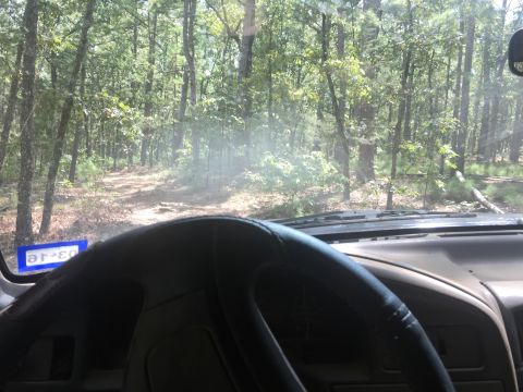 1993 Ford Bronco - View from the driver's seat of a 1993 Ford Bronco looking out at a dirt path through a wooded area. A blue license plate is visible on the…