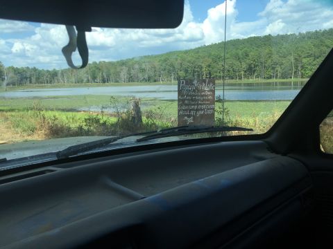 1993 Ford Bronco - View from the interior of a 1993 Ford Bronco looking out the windshield at Pappy Kirk Lake. A wooden sign with rules for the lake is visibl…