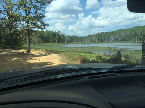 1993 Ford Bronco - View from inside a vehicle looking out at a lake with lily pads and trees under a cloudy sky. The dashboard and windshield wipers are visib…