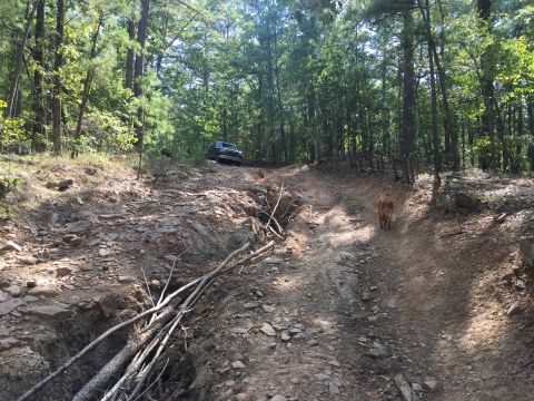 1993 Ford Bronco - A dark blue 1993 Ford Bronco is parked on a steep, rocky, off-road trail in a wooded area. A brown dog walks away from the camera up the tr…