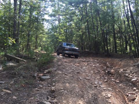 1993 Ford Bronco - A dark-colored Ford Bronco is driving on a rocky, dirt trail through a dense forest. The vehicle is positioned on the left side of the trai…