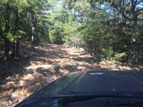 1993 Ford Bronco - The front view of a dark colored vehicle driving on a rocky, wooded trail. The vehicle's hood is visible in the foreground, with dense tree…