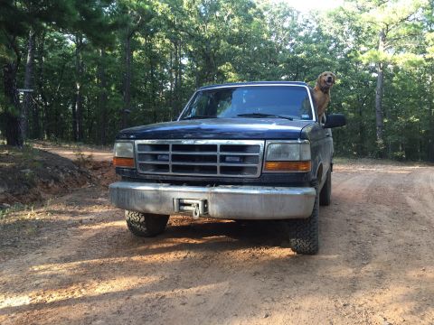 1993 Ford Bronco - A golden retriever dog is perched on the driver's side window of a dark blue Ford truck. The truck is parked on a dirt road in a wooded are…
