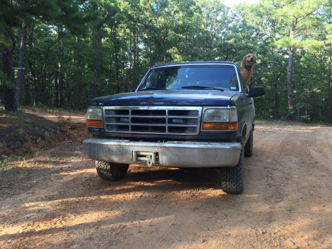 1993 Ford Bronco - A golden retriever dog peeks out of the driver's side window of a dark blue Ford truck parked on a dirt road in a wooded area. The front of…