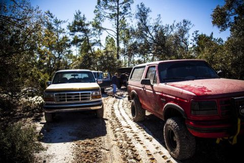 1995 Ford Bronco - Two off-road vehicles, a red Ford Bronco and a white Ford pickup truck, are parked on a sandy trail surrounded by trees. A person is standi…