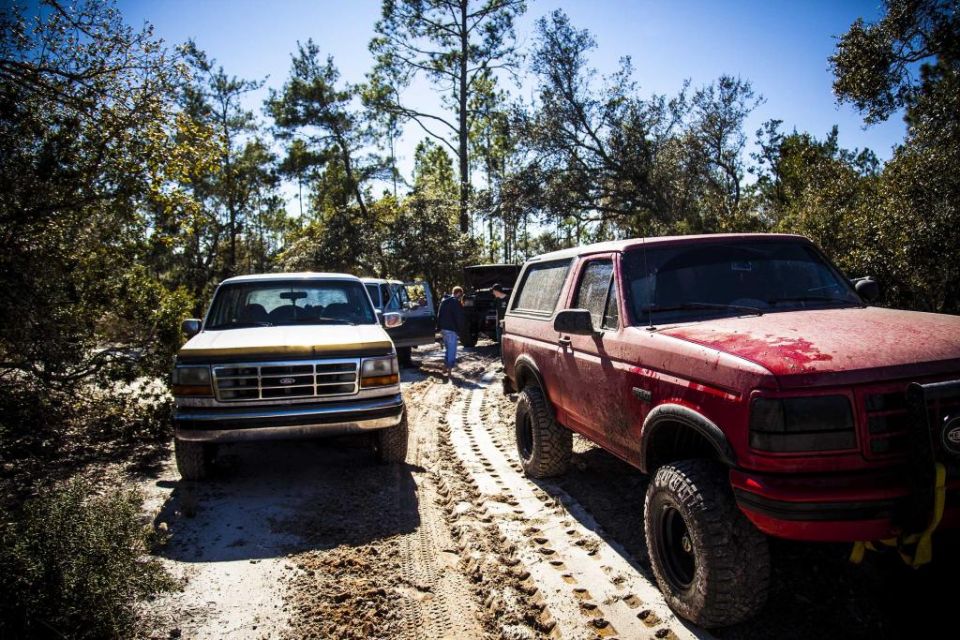 Red Ford Bronco and white Ford pickup truck on a sandy trail with trees.