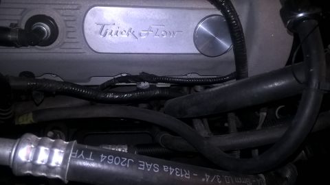 2004 Ford Crown Victoria