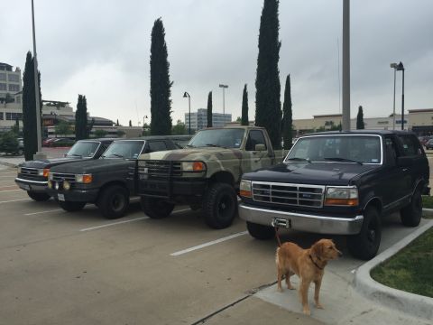 1993 Ford Bronco - A line of four Ford trucks and SUVs are parked in a lot under a cloudy sky, with a golden retriever standing in front of the last vehicle.