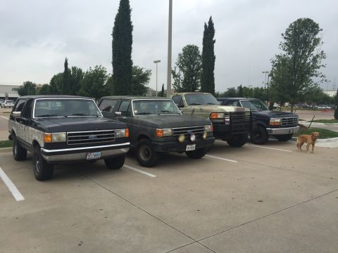 1993 Ford Bronco - Four Ford trucks are parked in a lot under a cloudy sky. A golden retriever stands to the right of the trucks.