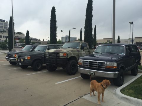 1993 Ford Bronco - A line of four Ford trucks and SUVs are parked in a lot under an overcast sky. A golden retriever stands in front of the closest vehicle, a…