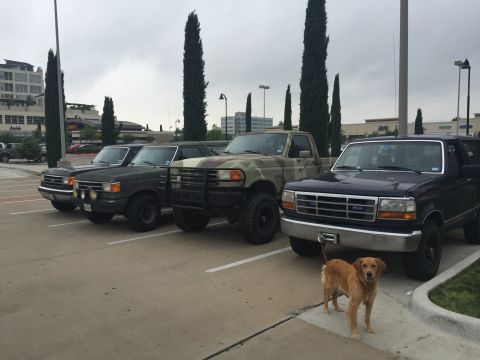 1993 Ford Bronco - A golden retriever stands on a sidewalk in front of a dark blue Ford Bronco parked in a lot. Three other trucks, one with camouflage paint,…