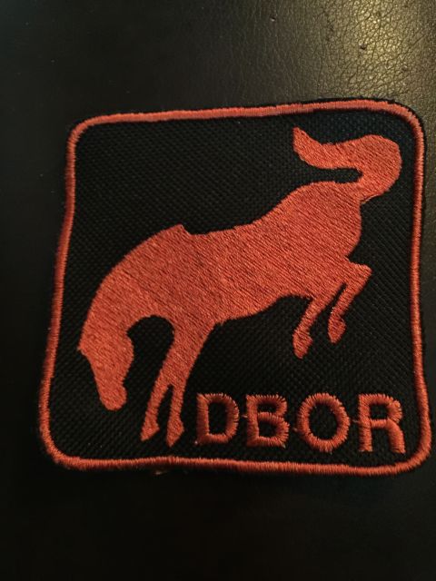 1993 Ford Bronco - A black patch with an orange embroidered silhouette of a bucking horse and the text "DBOR" below it.
