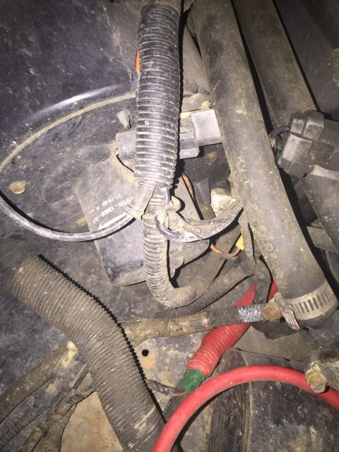 1993 Ford Bronco - A close-up view of a bundle of wires and hoses in an engine bay, likely from a 1993 Ford Bronco. Some of the wiring is protected by black c…