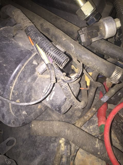 1993 Ford Bronco - This close-up image shows a section of a 1993 Ford Bronco's engine bay, featuring various hoses, wiring harnesses, and a black plastic comp…