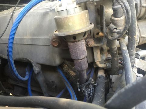 1993 Ford Bronco - A close-up view of the engine bay of a 1993 Ford Bronco, focusing on the distributor and various hoses and wiring.