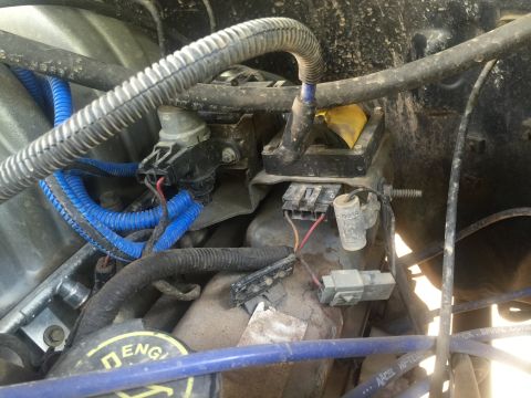 1993 Ford Bronco - Close-up view of the engine bay of a 1993 Ford Bronco, focusing on the ignition system components including spark plug wires, coil pack, an…