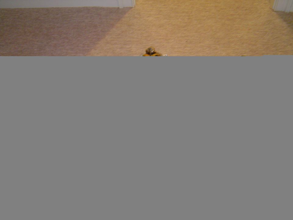 small toy car on carpet