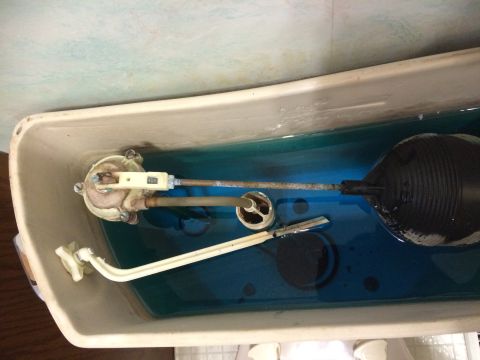 2004 Ford F-250 - The image shows the inside of a toilet tank with blue water. A black float ball and a fill valve assembly are visible.