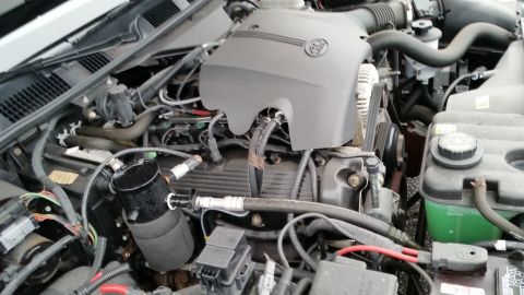 2001 Ford Crown Victoria - Engine bay of a 2001 Ford Crown Victoria, showing the V8 engine and associated components.
