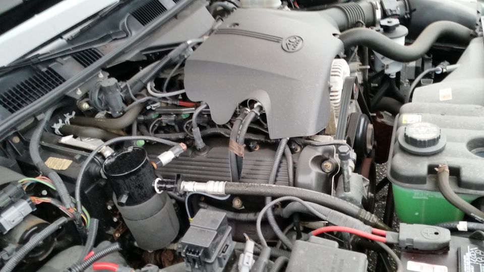 2001 Ford Crown Victoria engine bay with V8 engine, hoses, and battery visible
