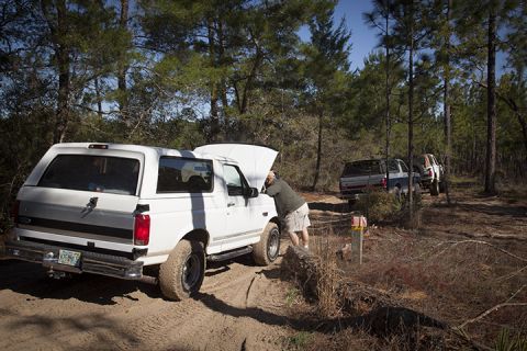 1995 Ford Bronco - A group of vehicles are stopped on a dirt path in a wooded area, with one person checking the engine of a white Ford Bronco.