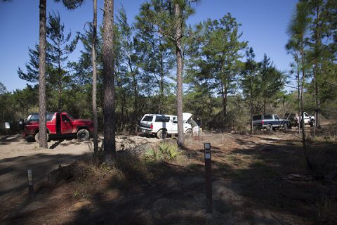 1995 Ford Bronco - A red Ford Bronco is parked on a dirt road with its doors open, surrounded by trees.