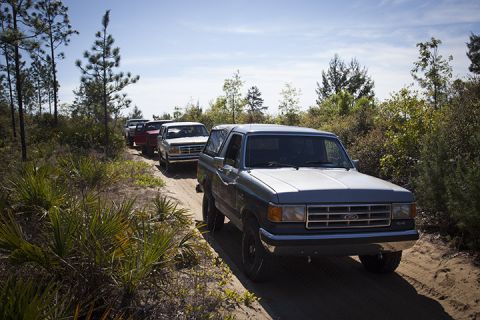 1995 Ford Bronco - A line of Ford Broncos, including a blue 1995 model in the foreground, navigate a sandy trail through a wooded area.