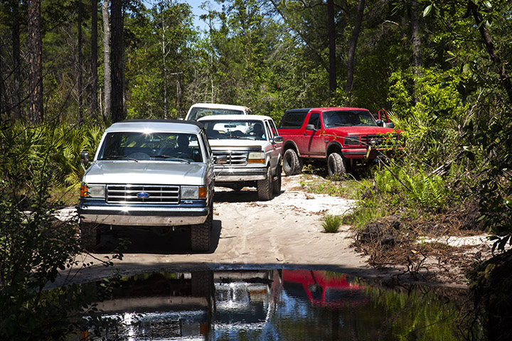 Three Ford Broncos driving on a sandy dirt road through trees, one red Bronco in the background