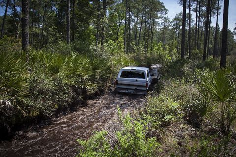 1995 Ford Bronco - A white SUV navigates a muddy trail surrounded by dense forest vegetation.