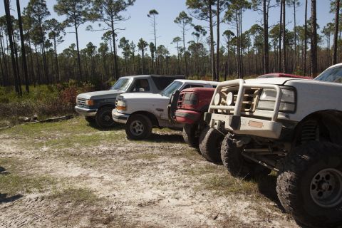1995 Ford Bronco - Several trucks, including a 1995 Ford Bronco, are lined up in a dirt lot with trees in the background.