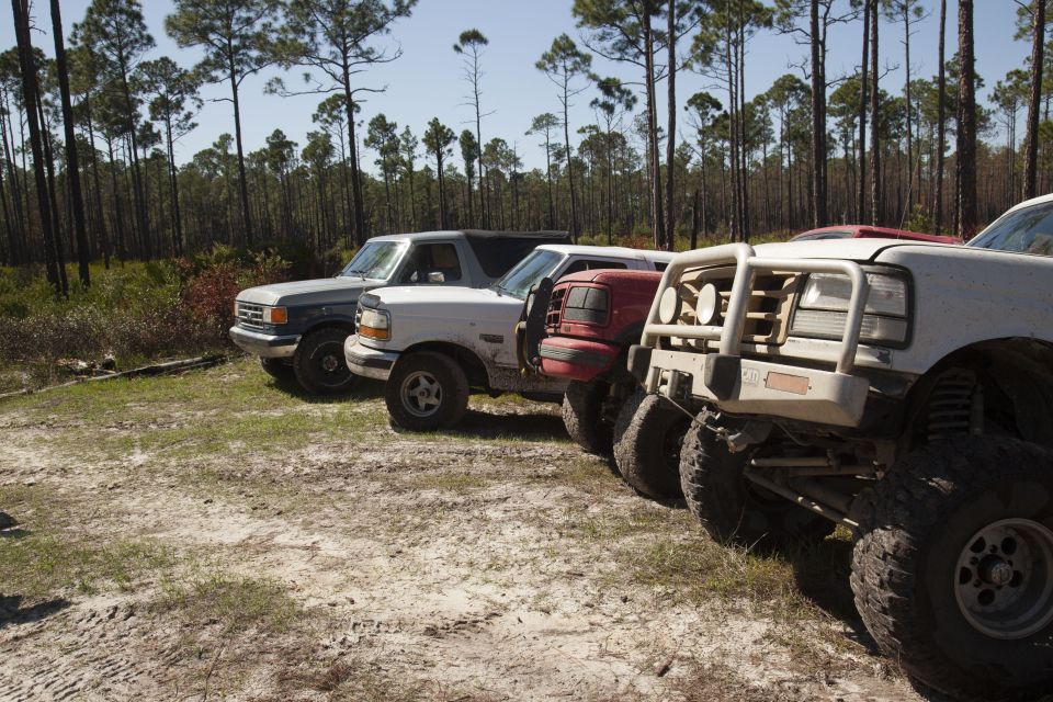 Side view of a line of trucks, including a 1995 Ford Bronco, parked in a wooded area