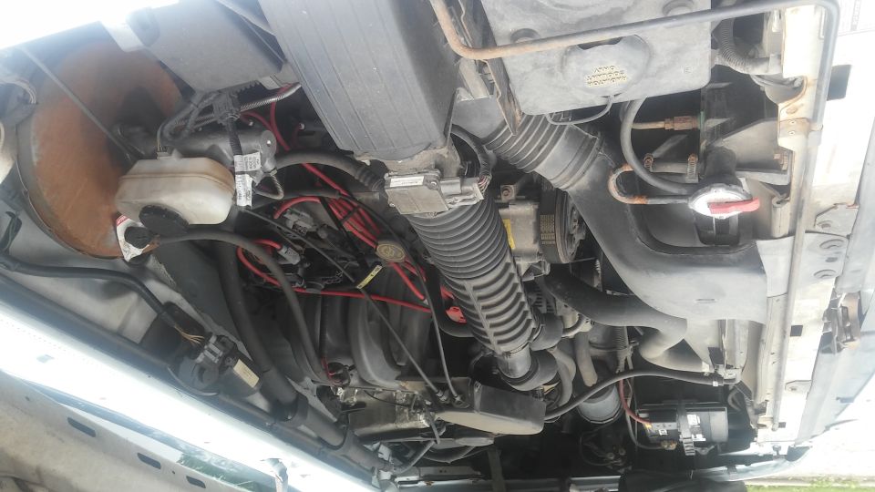Engine bay with hoses, wiring, and air intake components visible