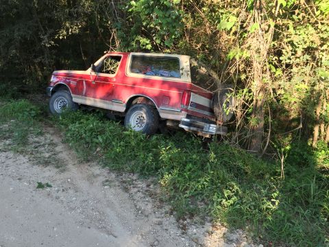 1989 Ford Bronco - Red Ford Bronco veered off a dirt road and into dense foliage, with its rear end lodged against a tree.